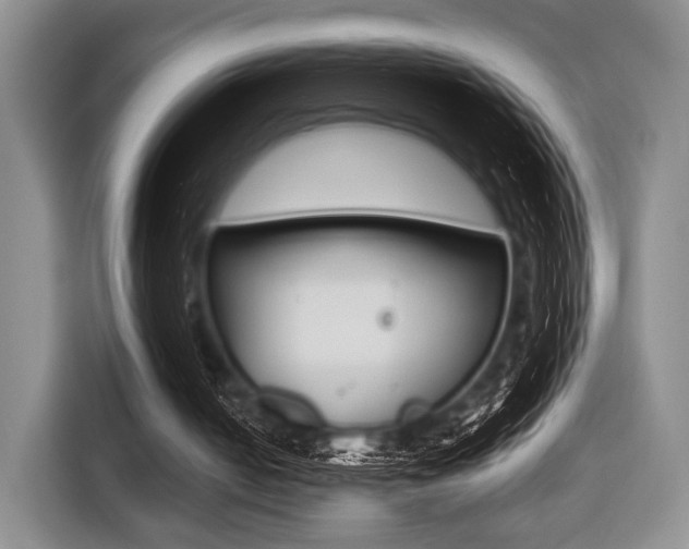 X0000116420050200912081208
