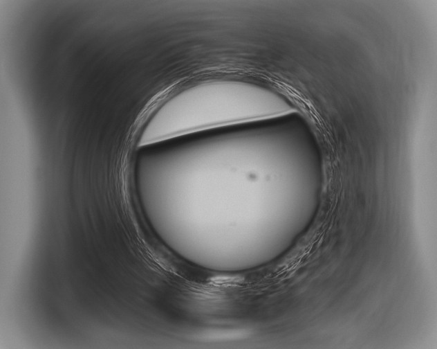 X0000116420051200912081208
