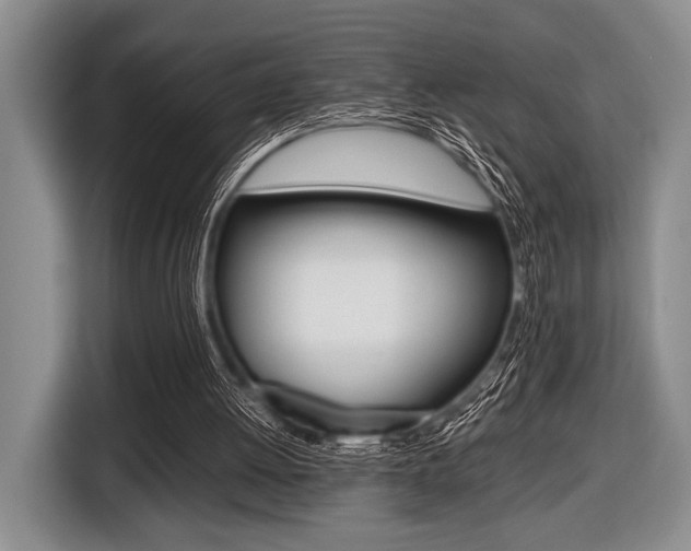 X0000116420052200912081208