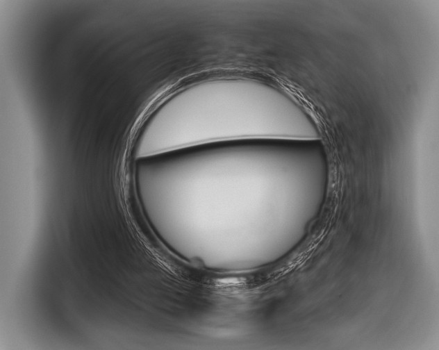 X0000116420053200912081208