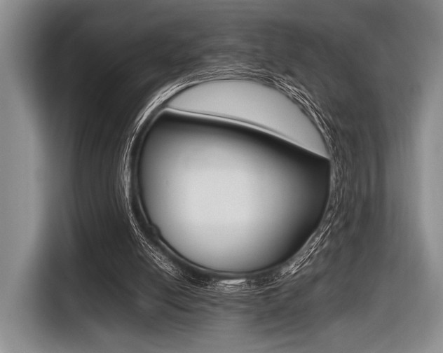 X0000116420054200912081208
