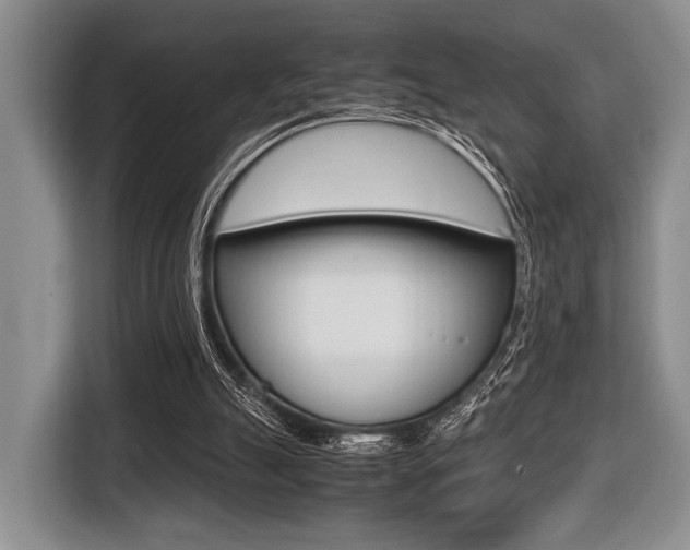 X0000116420055200912081208