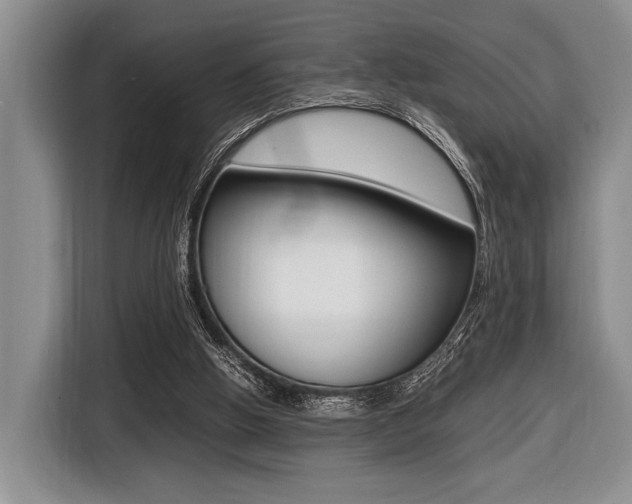 X0000116420058200912081208