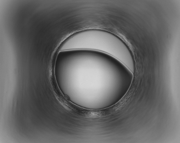 X0000116420060200912081208