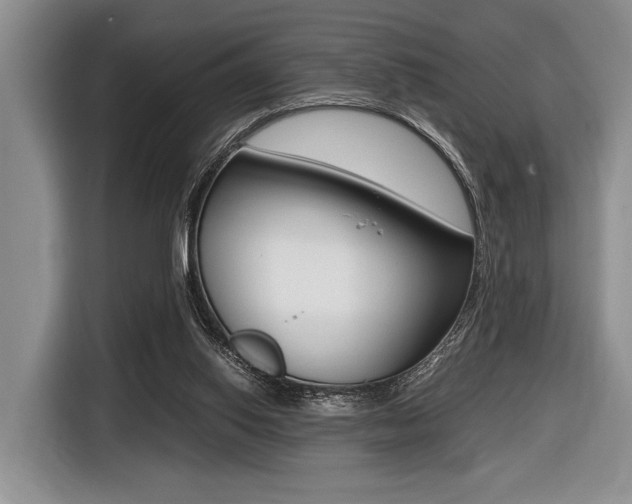 X0000116420062200912081209