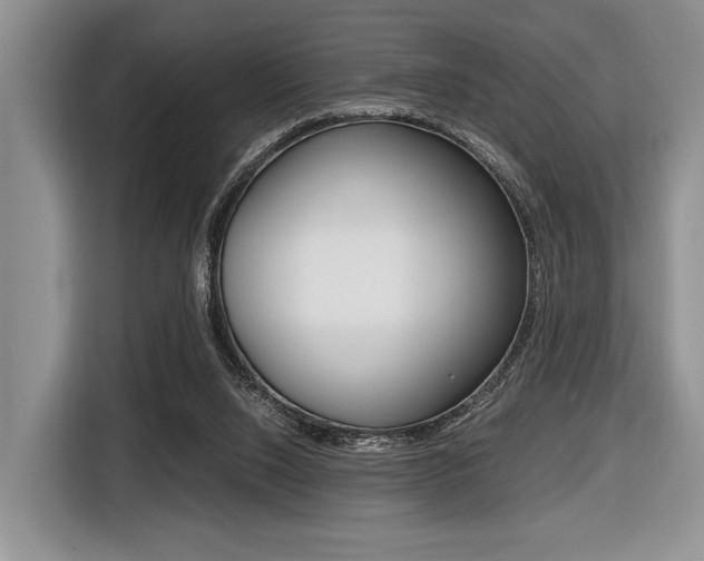 X0000116420064200912081209