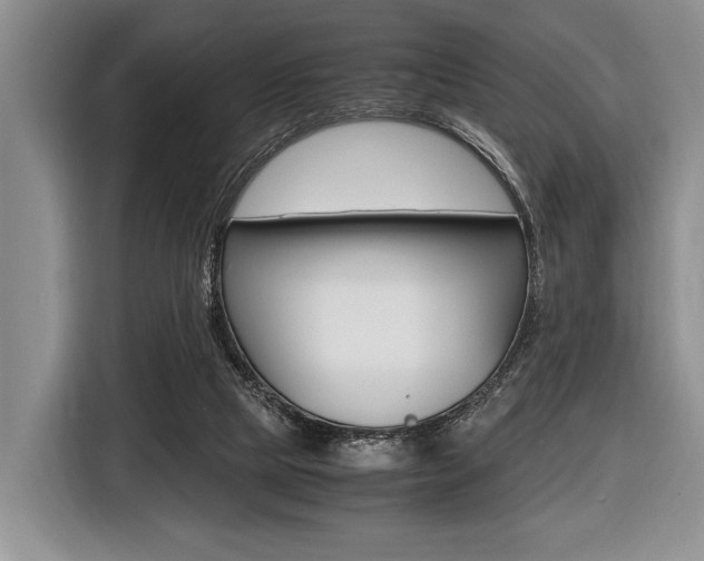 X0000116420065200912081209