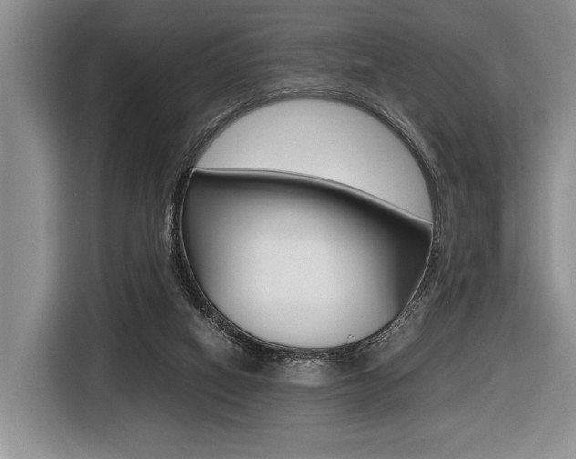 X0000116420066200912081209