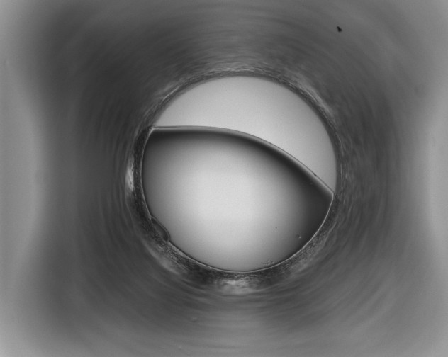 X0000116420068200912081209