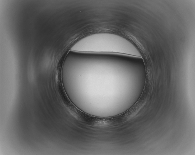 X0000116420071200912081209