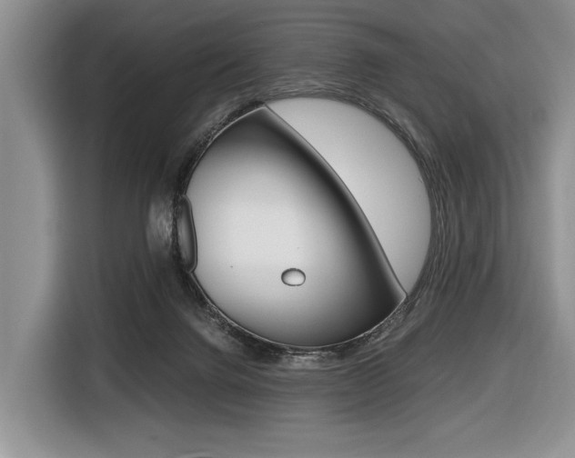 X0000116420072200912081209