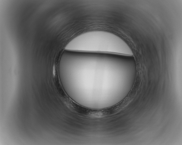 X0000116420075200912081209