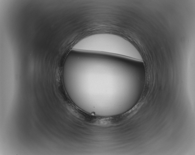 X0000116420078200912081209