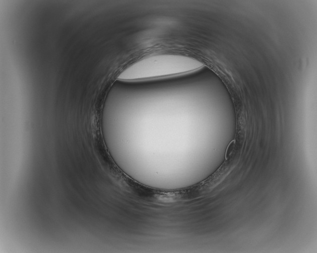 X0000116420079200912081209