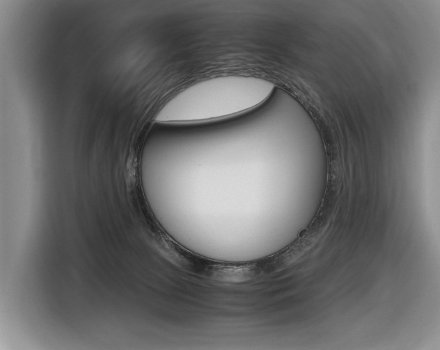 X0000116420081200912081209
