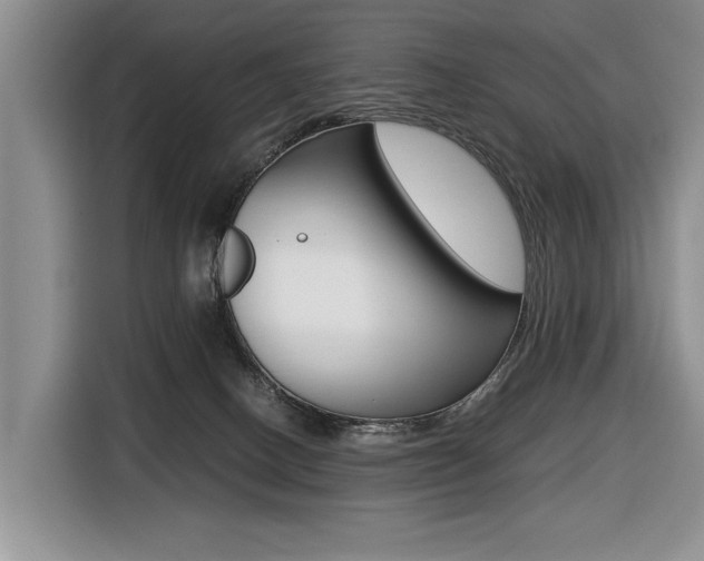 X0000116420082200912081209