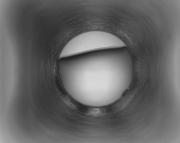 X0000116420083200912081209