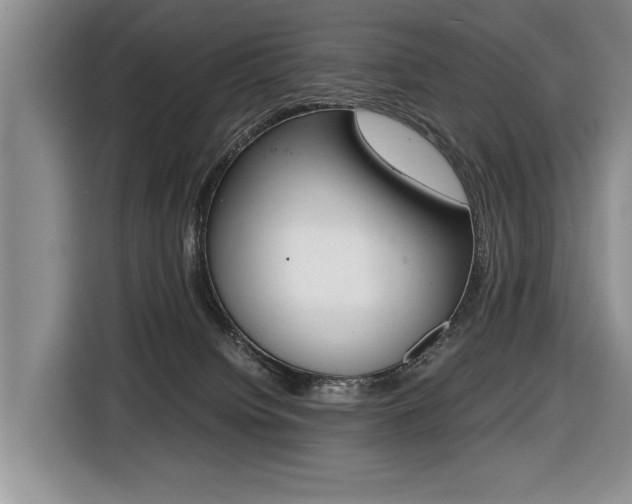 X0000116420084200912081209