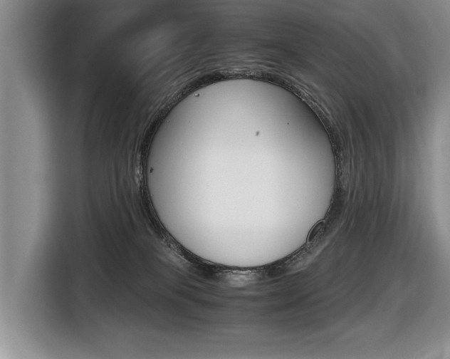 X0000116420085200912081209