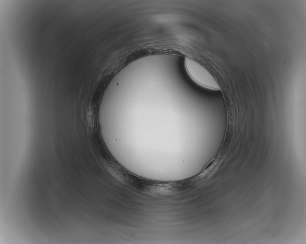 X0000116420086200912081209