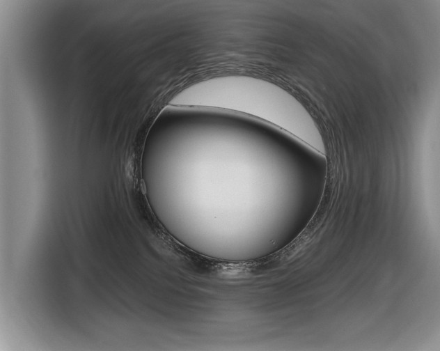 X0000116420088200912081209