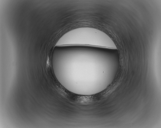 X0000116420089200912081209