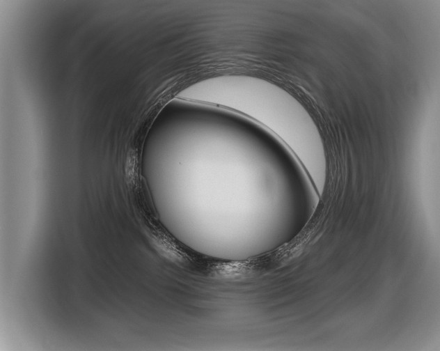 X0000116420092200912081209