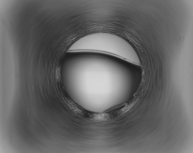 X0000116420096200912081209