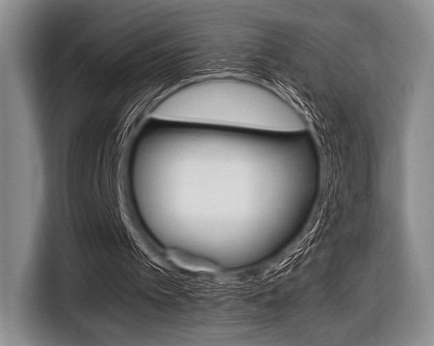 X0000116420097200912081208