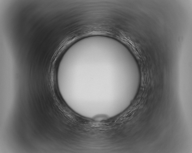 X0000116420098200912081208
