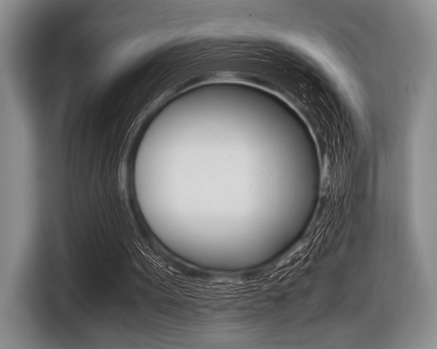 X0000116420099200912081208