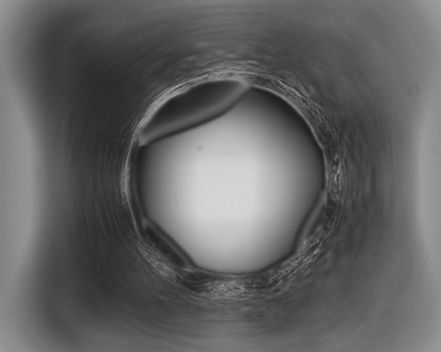 X0000116420100200912081208