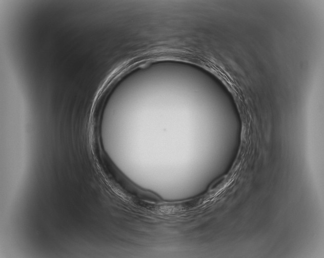 X0000116420101200912081208