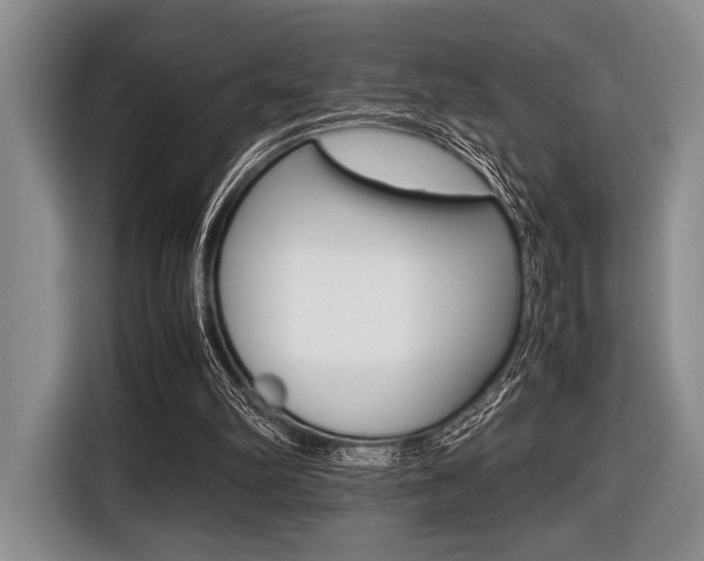 X0000116420102200912081208