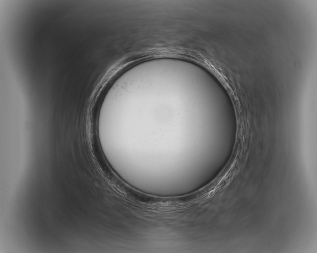 X0000116420103200912081208