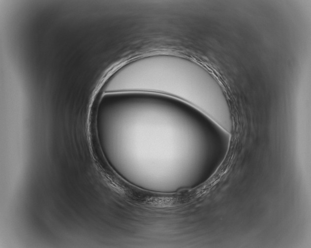 X0000116420104200912081208