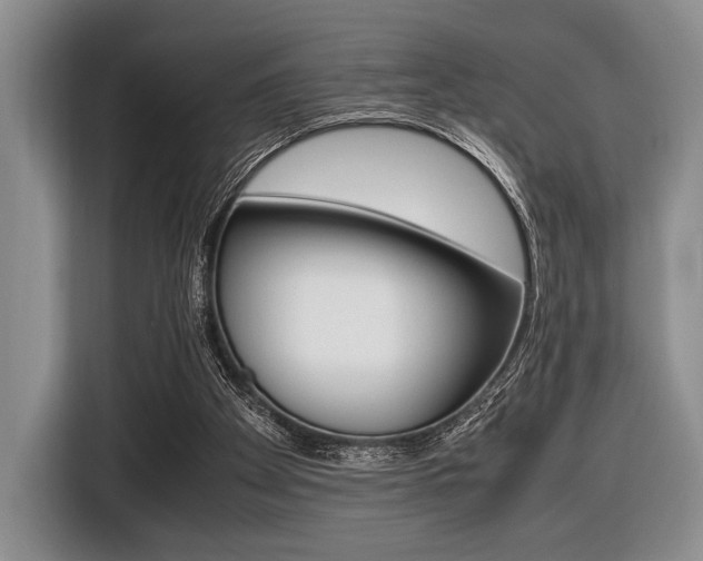 X0000116420105200912081208