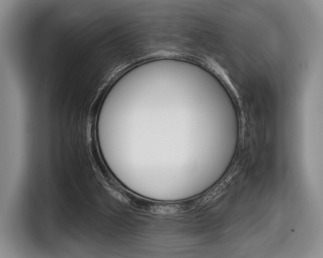 X0000116420106200912081208