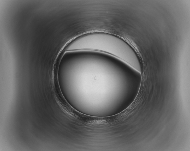 X0000116420108200912081208