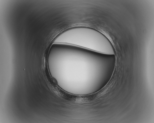 X0000116420109200912081208