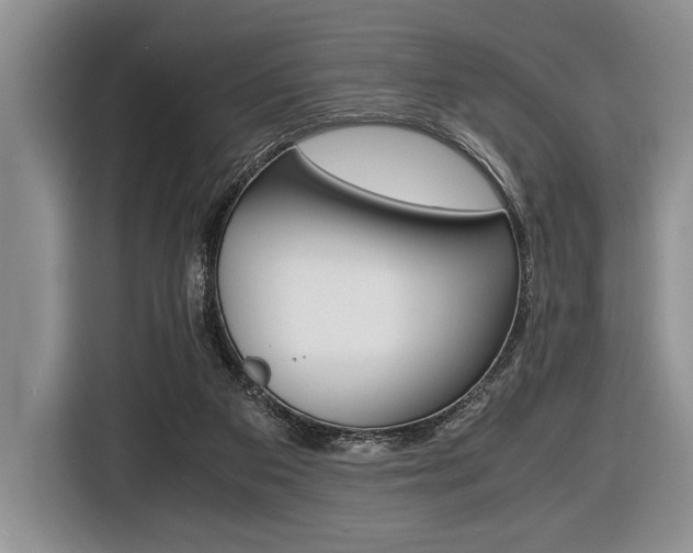 X0000116420113200912081208