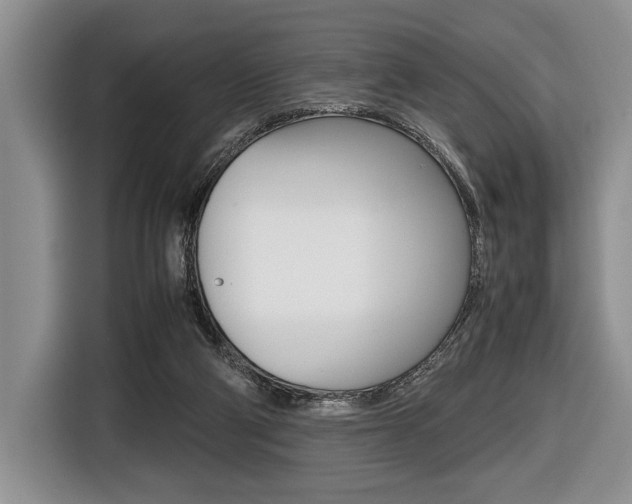 X0000116420114200912081208
