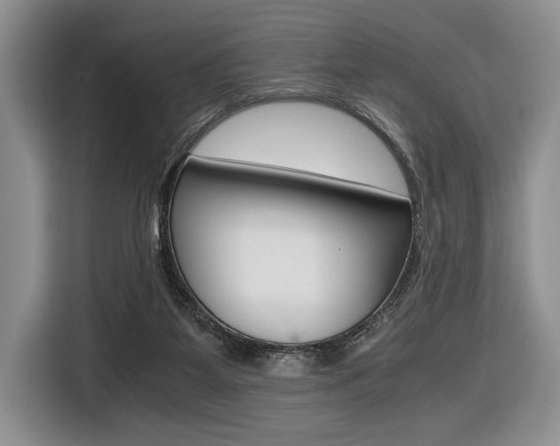 X0000116420115200912081208
