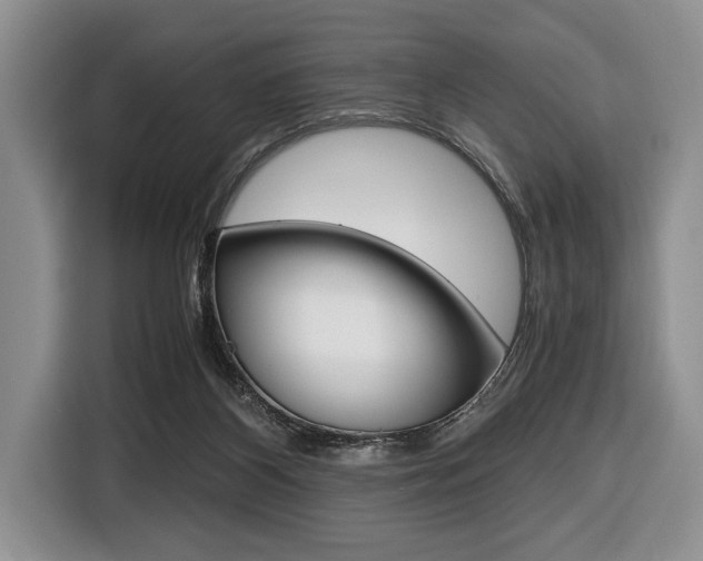 X0000116420116200912081208