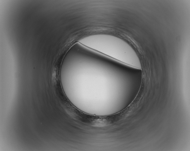 X0000116420119200912081208