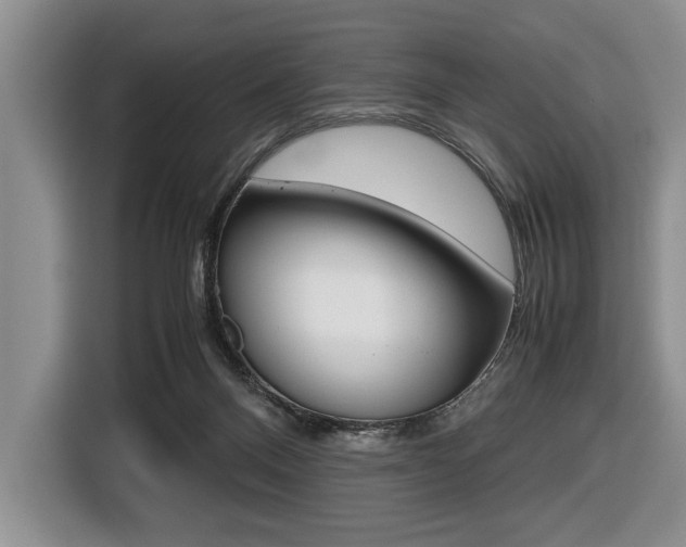 X0000116420120200912081208