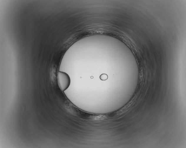 X0000116420122200912081208