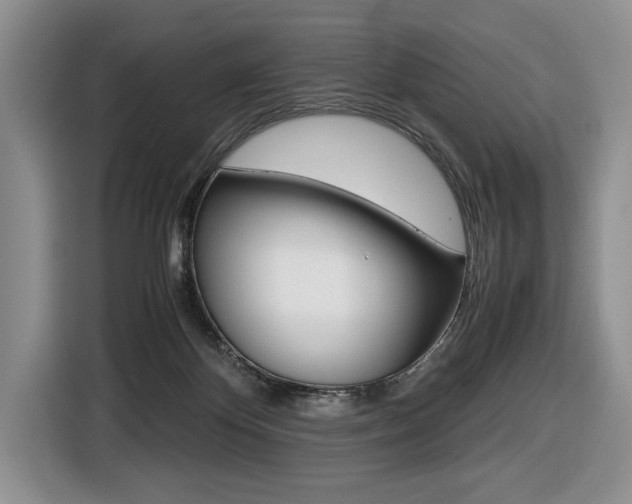 X0000116420124200912081208