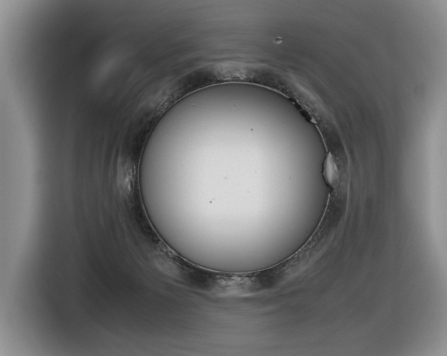 X0000116420125200912081208