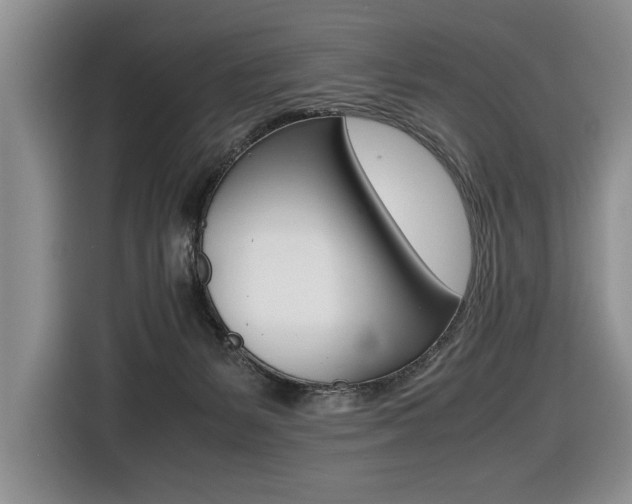 X0000116420127200912081208